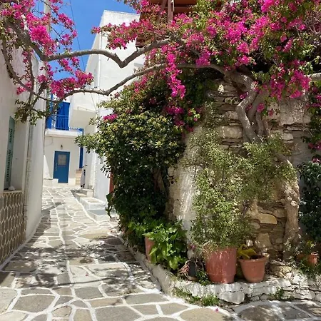 Paros Spacious Lägenhet *